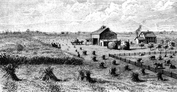 Black and white drawing of fields of hay and barn