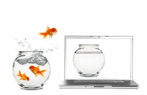 goldfish jumping from bowl to image of bowl on laptop screen