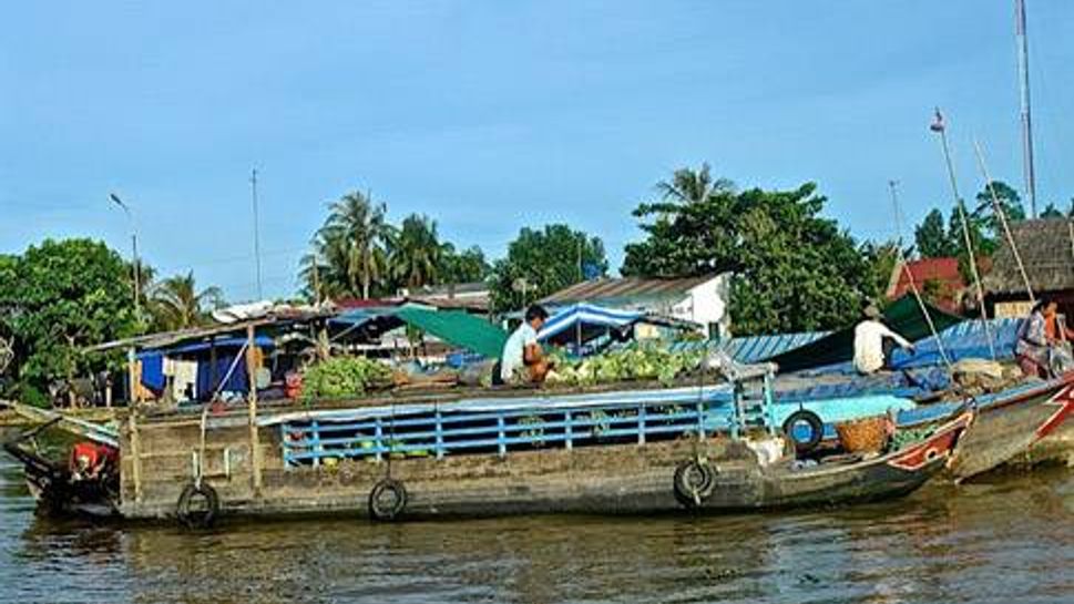 The Mekong River's floodplains