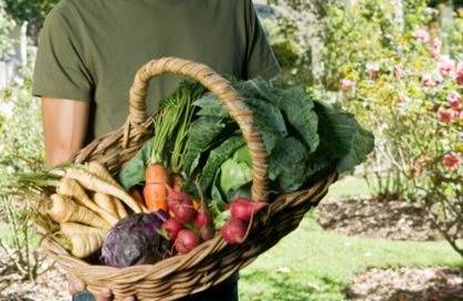 Man holding basket of vegetables in garden