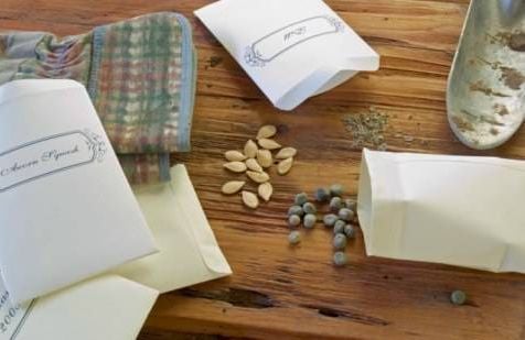 seeds and seed packets