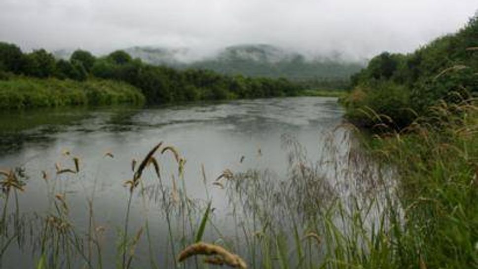 Margaree River near Inverness Cape Breton