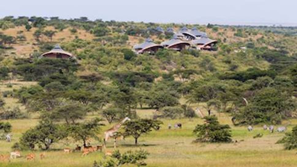 Animals in the lush valley beside Mahali Mzuri Safari Camp