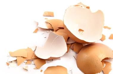 Broken egg shells
