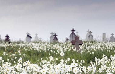 Cemetery with flowers