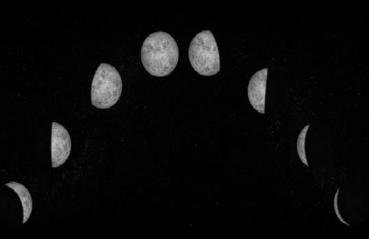 Digital Illustration of the Phases of the Moon