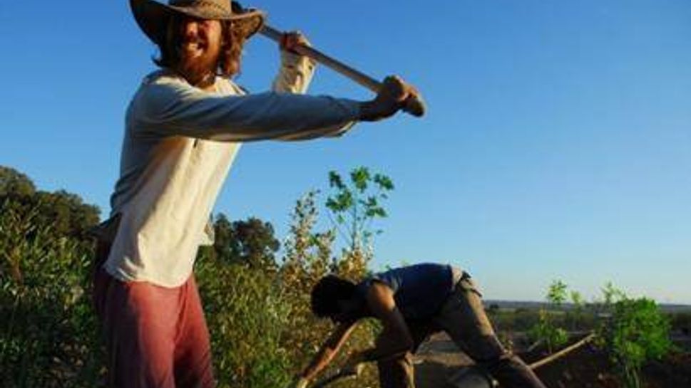 WWOOF Volunteers work with the mentally challenged on an organic farm in Israel 