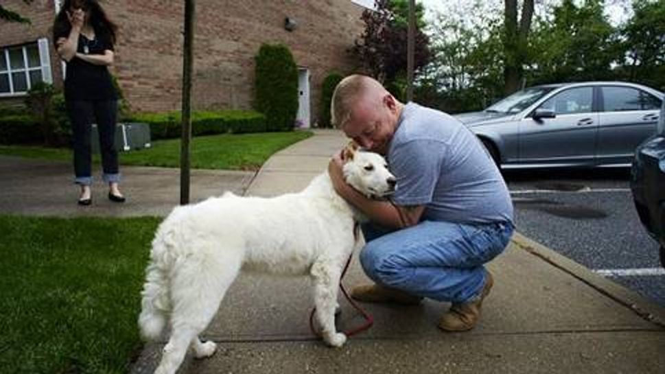 Guardians of Rescue matches homeless dogs with veterans who have PTSD.