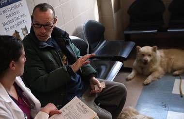 man consults with veterinarian about his two dogs