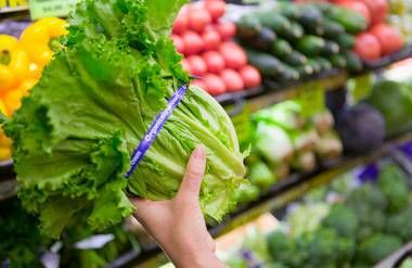 A woman's hand holding romaine lettuce in the vegetable aisle in the grocery.