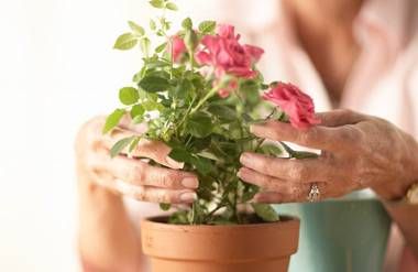 Woman tending to her flower pot