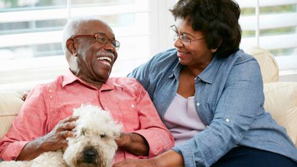 Happy Senior Couple Sitting On Sofa With Dog