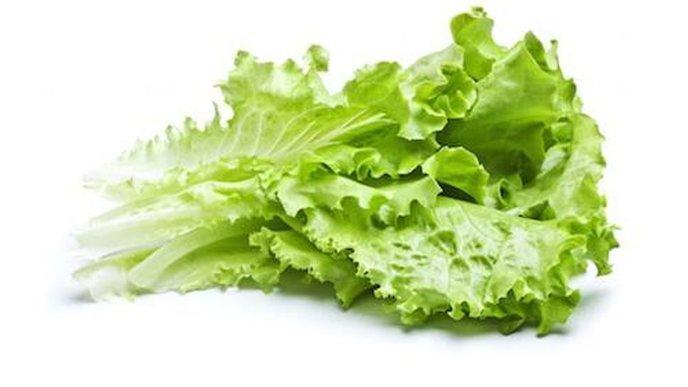 Green lettuce