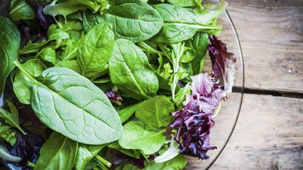 A bowl of lettuce and spinich