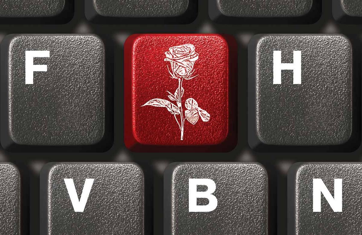 Illustration of red rose on keyboard