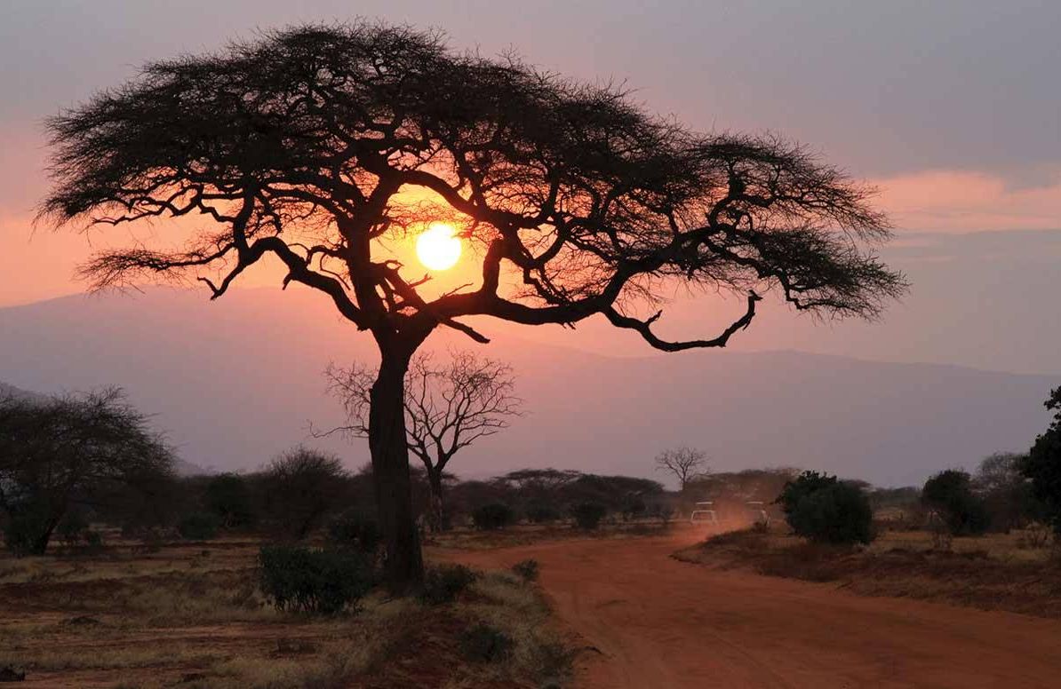 Driving through Africa at sunset