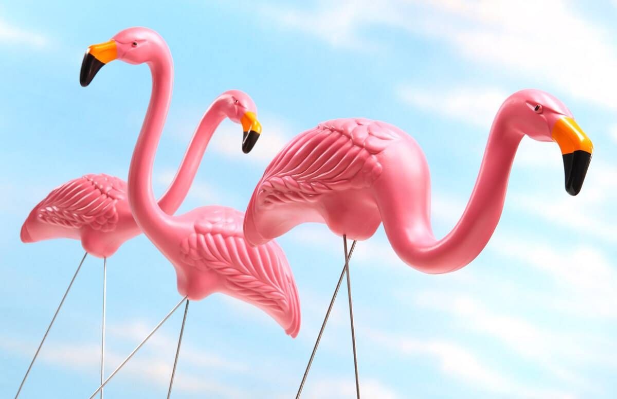 plastic pink flamingos