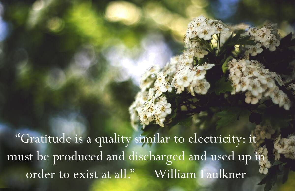 04-Gratitude-Quote