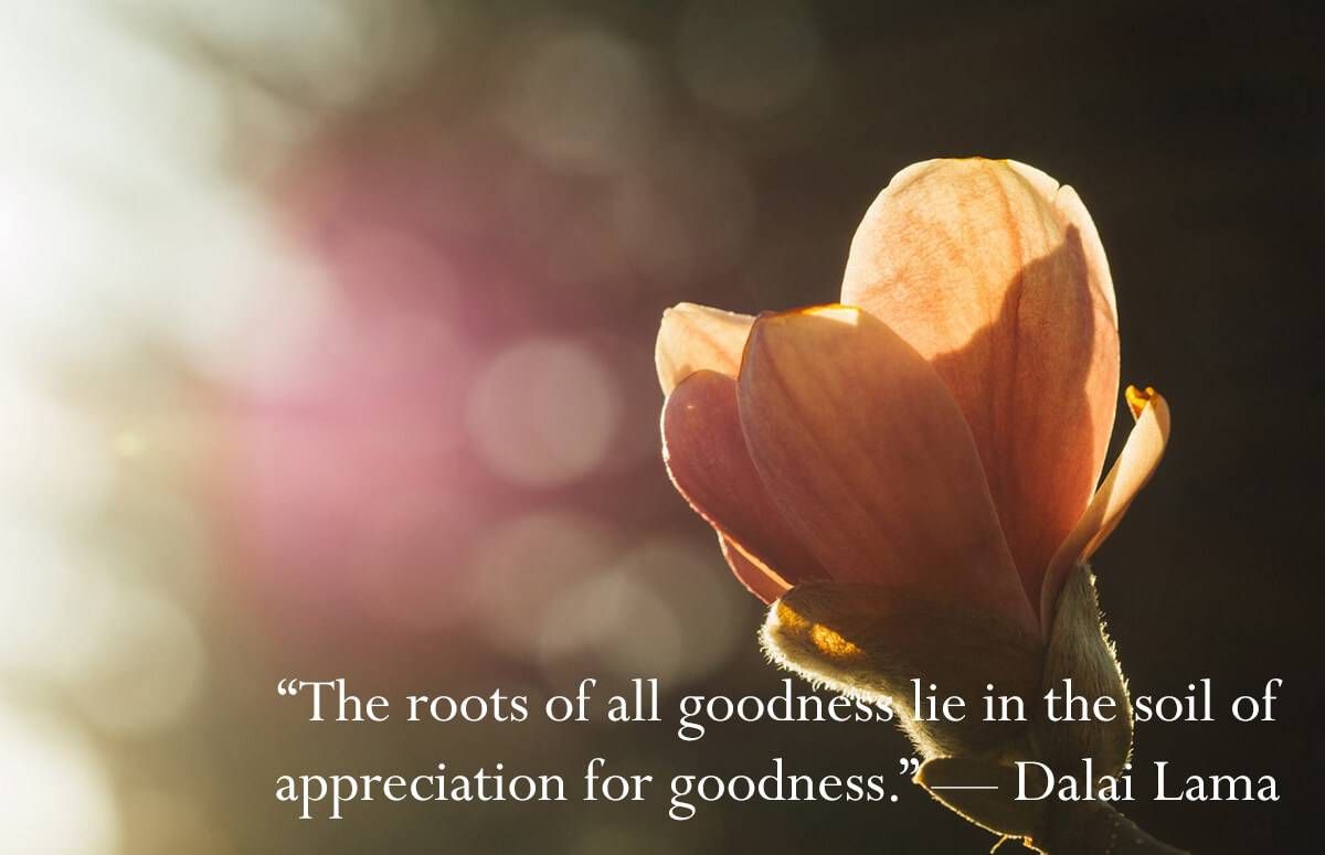 06-Gratitude-Quote