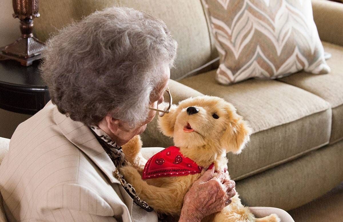 Robotic dog store for elderly