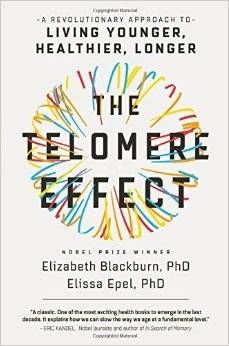 The Telomere Effect