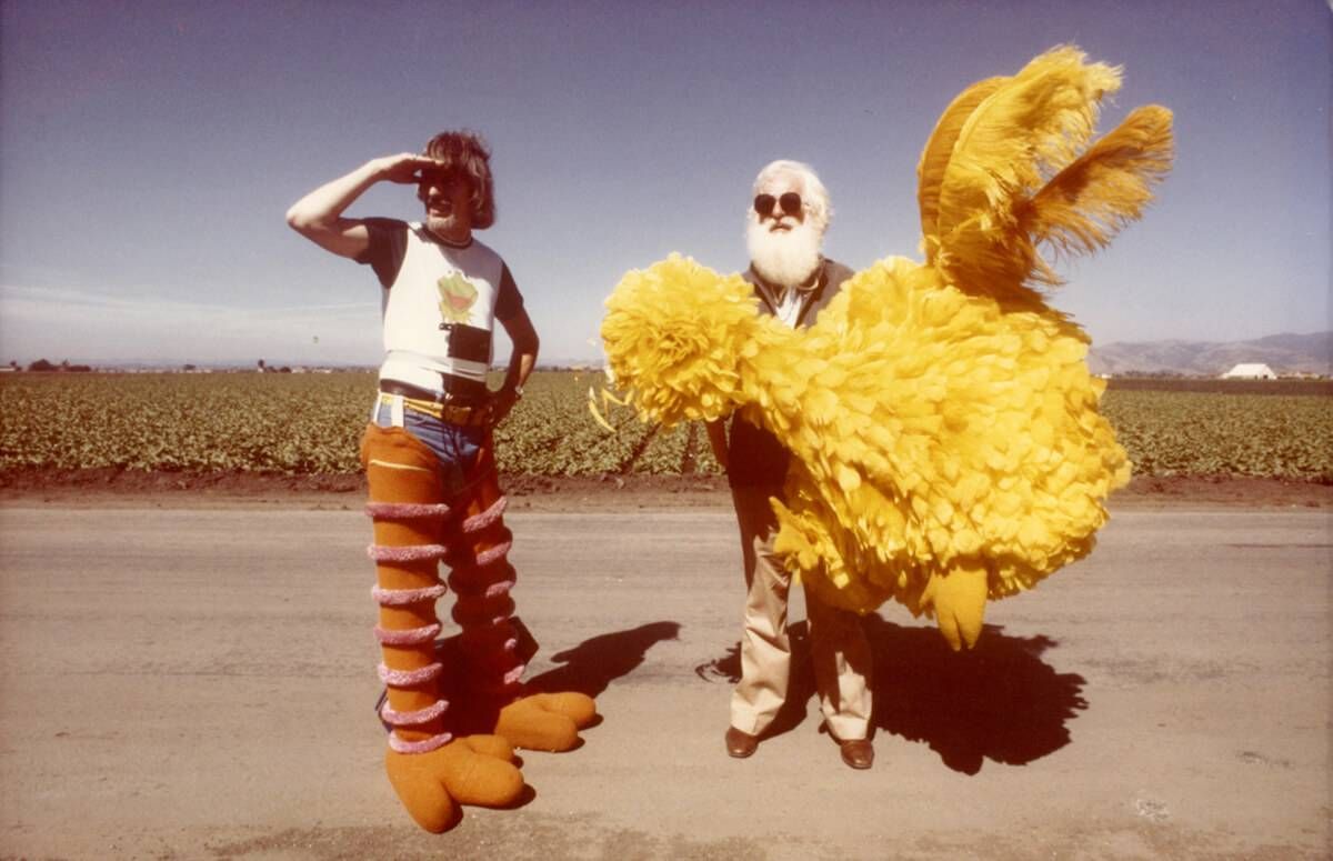 Big Bird