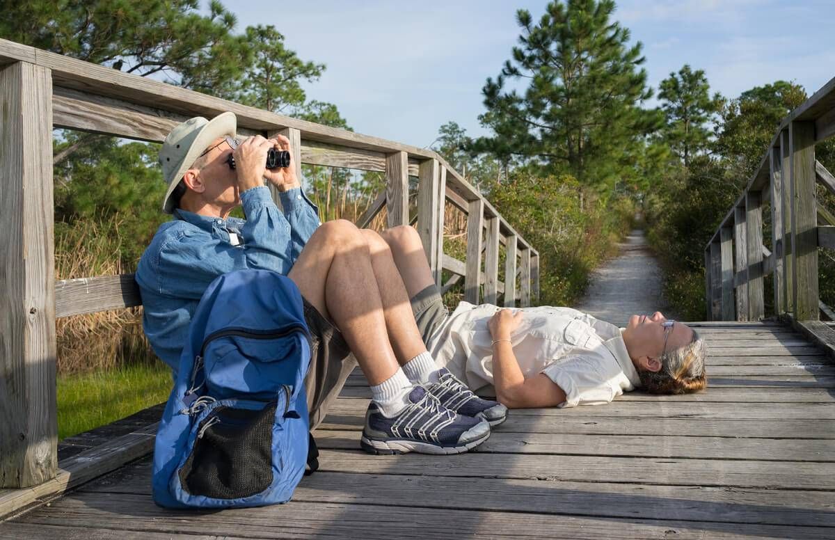 Birdwatching