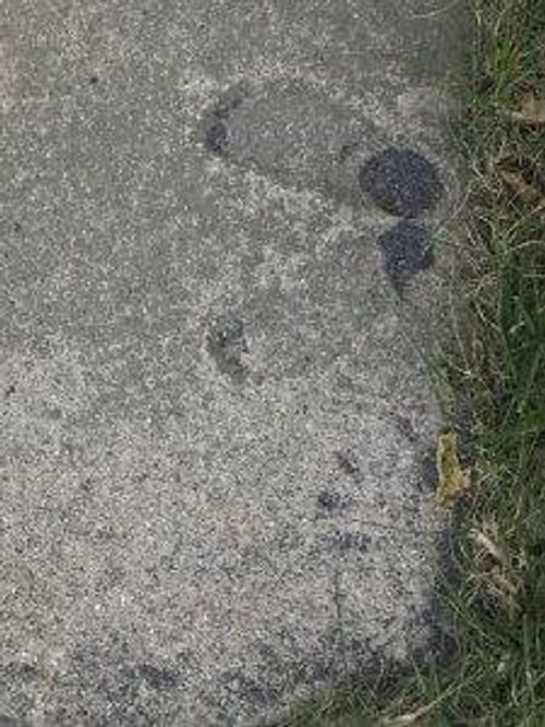 mom's house footprints concrete