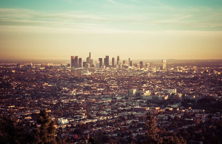 A Report on the Progress of Purposeful Aging Los Angeles