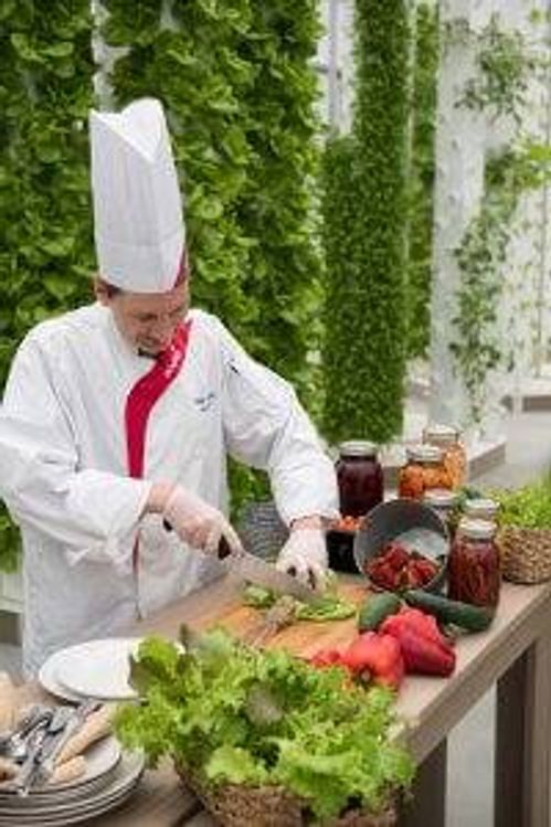 A chef at Garden Spot Village Retirement Community in New Holland, Pa., cuts up vegetables that were grown by residents in the community garden