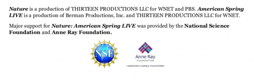 Image of text - Nature is a production of THIRTEEN PRODUCTIONS LLC for WNET and PBS. American Spring Live is a production of Berman Productions, Inc.