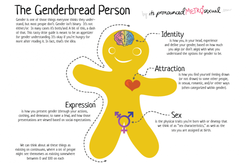 Illustration of a gingerbread person which outlines and defines identity, attraction, sex, and expression.