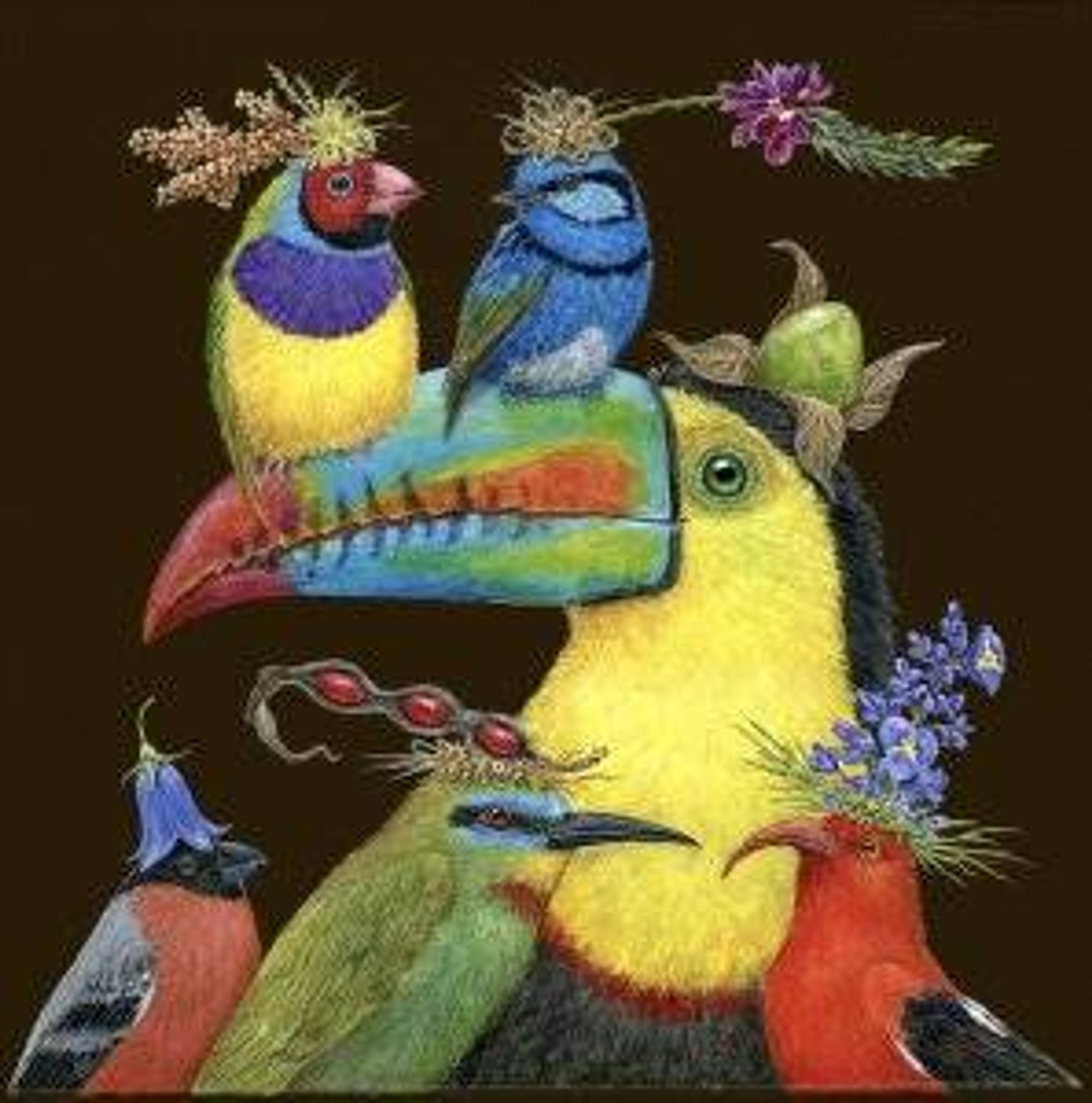 World Travelers bullfinch, bee-eater, i'iwi, keel billed toucan, splendid blue fairy wren, gouldian finch 