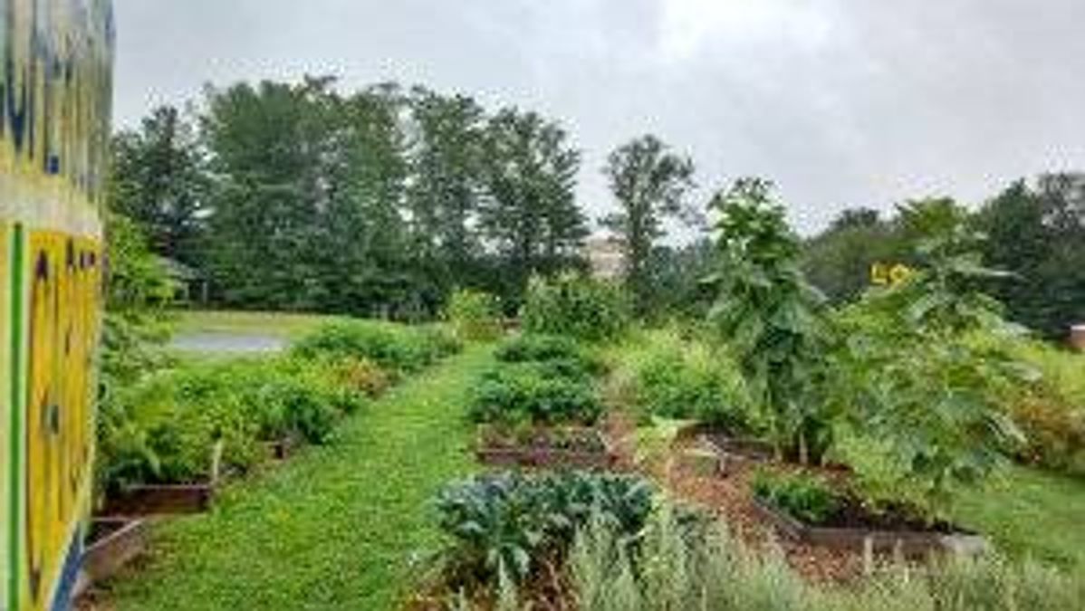 Belchertown School garden