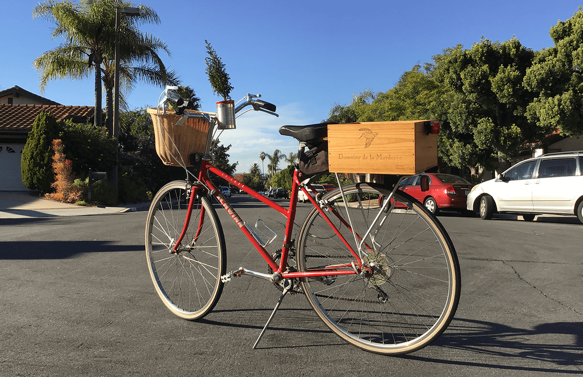 bicycle with high handlebars