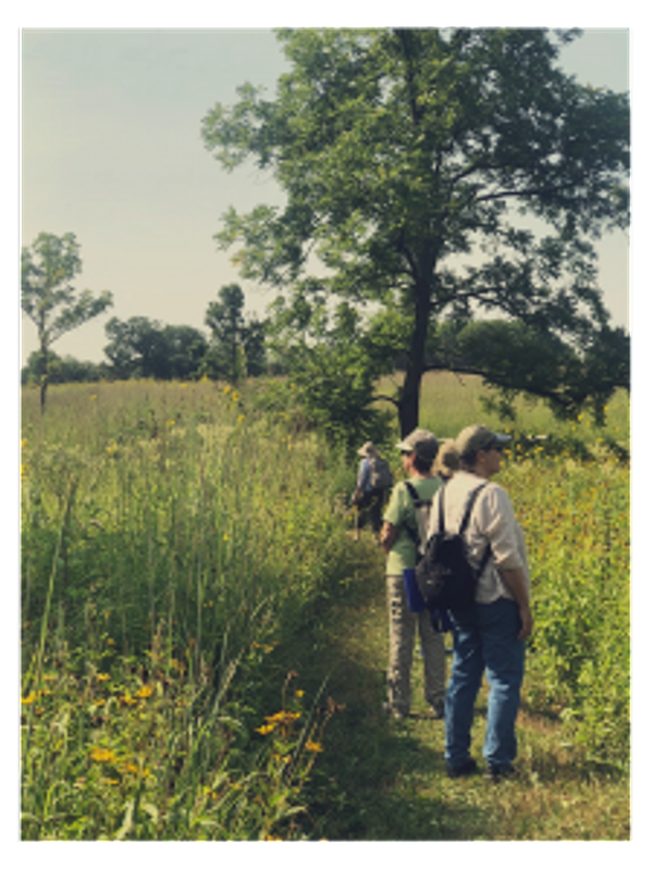 Peopl enjoying a forest therapy walk