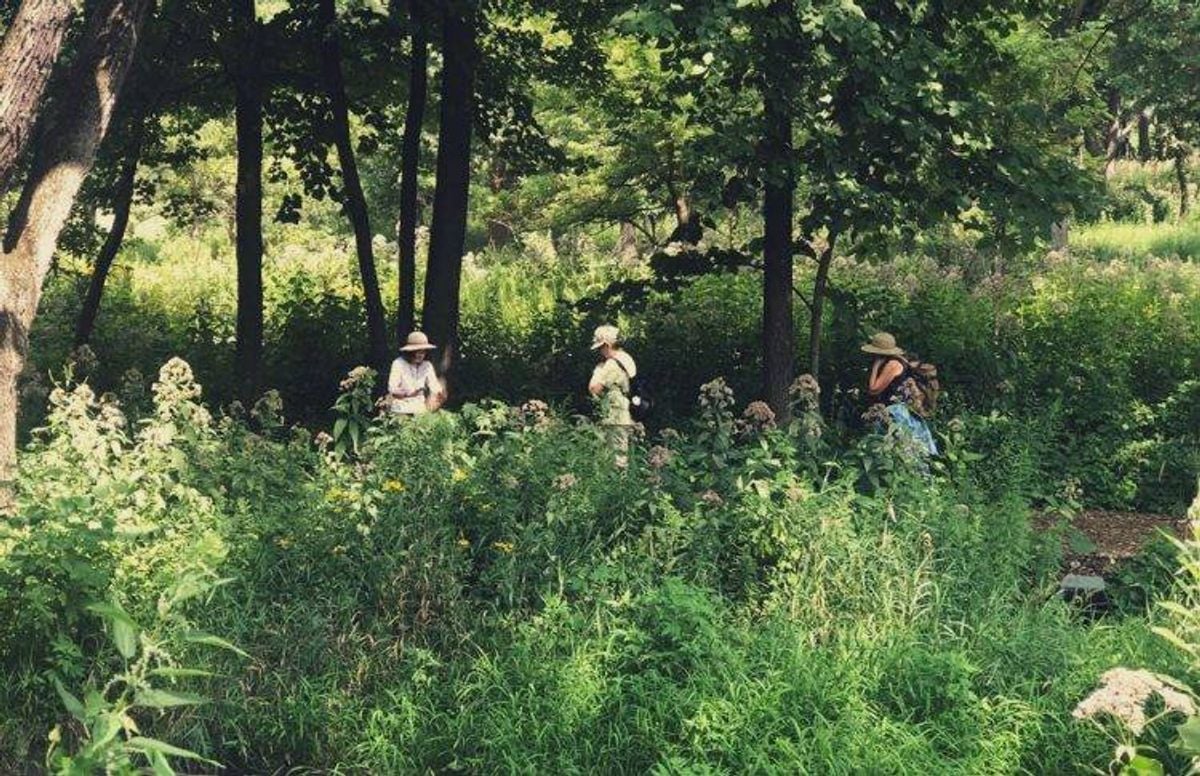 People walking in a wooded area