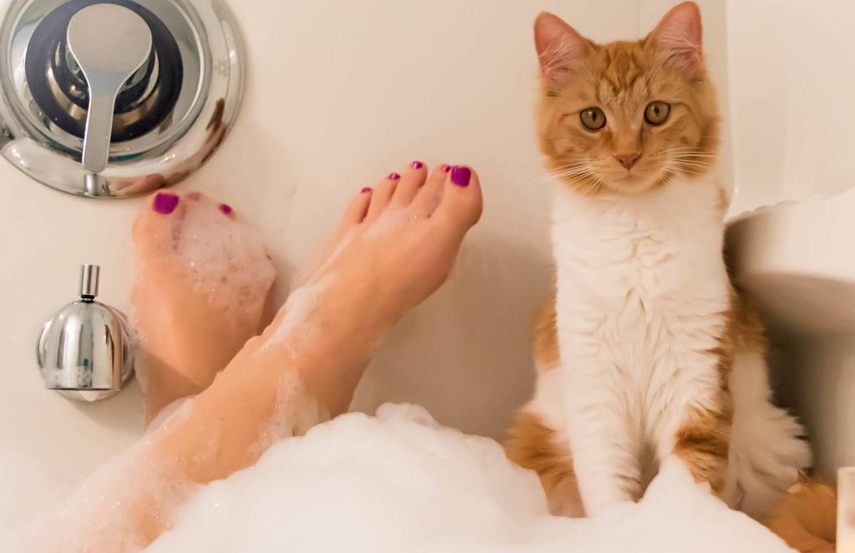 woman in bath with cat