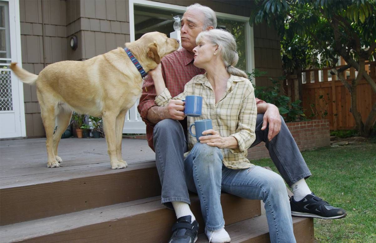 A couple cuddles its golden retriever