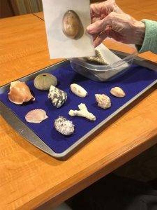 Shell activity at Clark Retirement Community