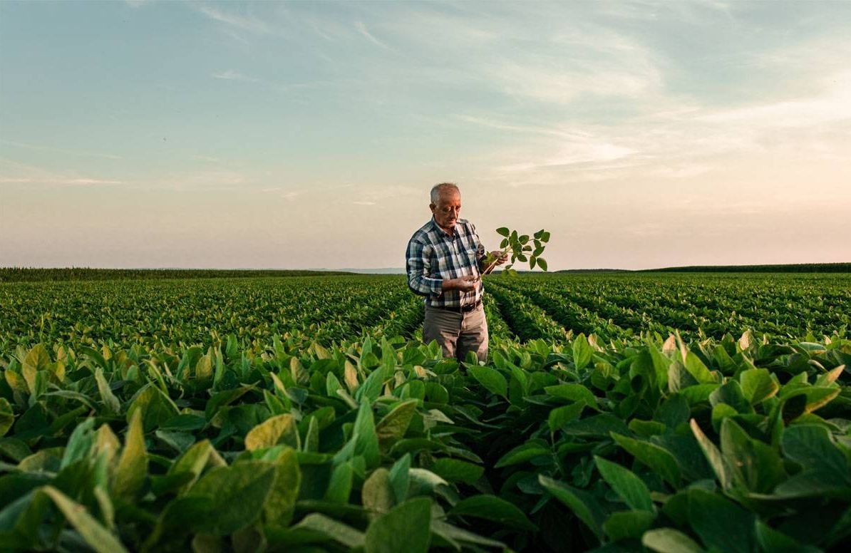 Rural Farmer