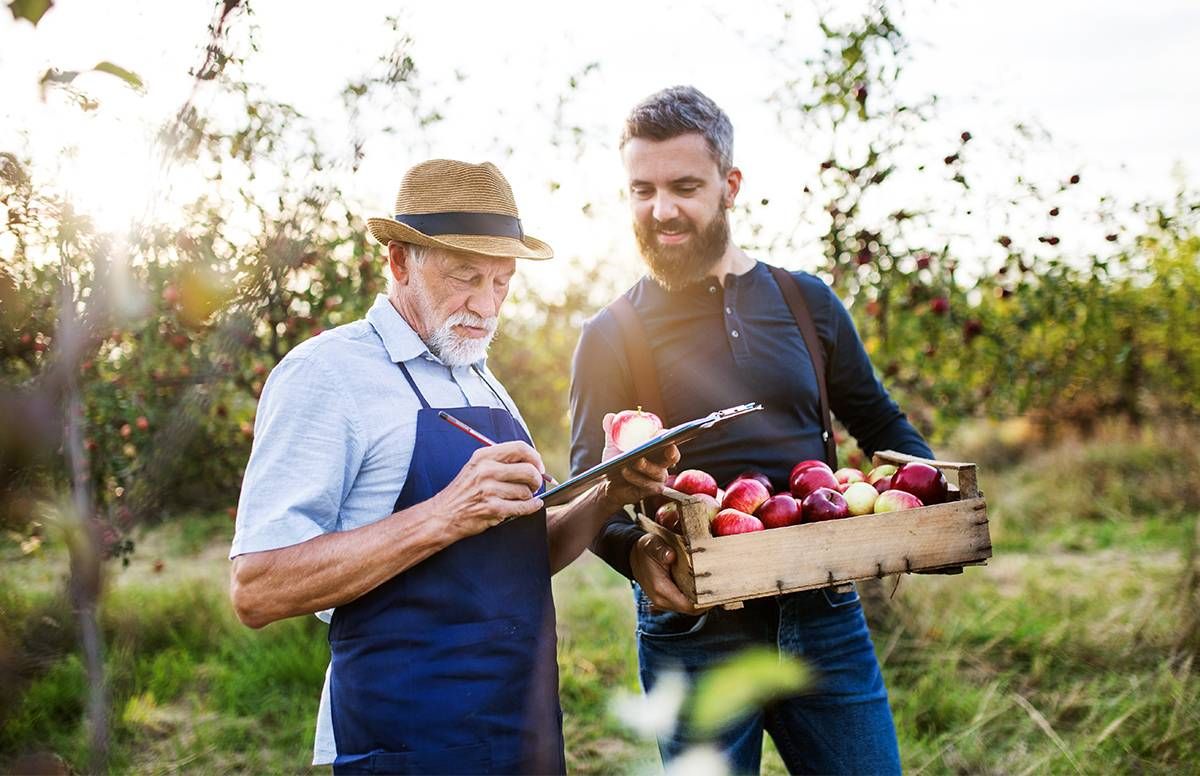 Father and son in apple orchard