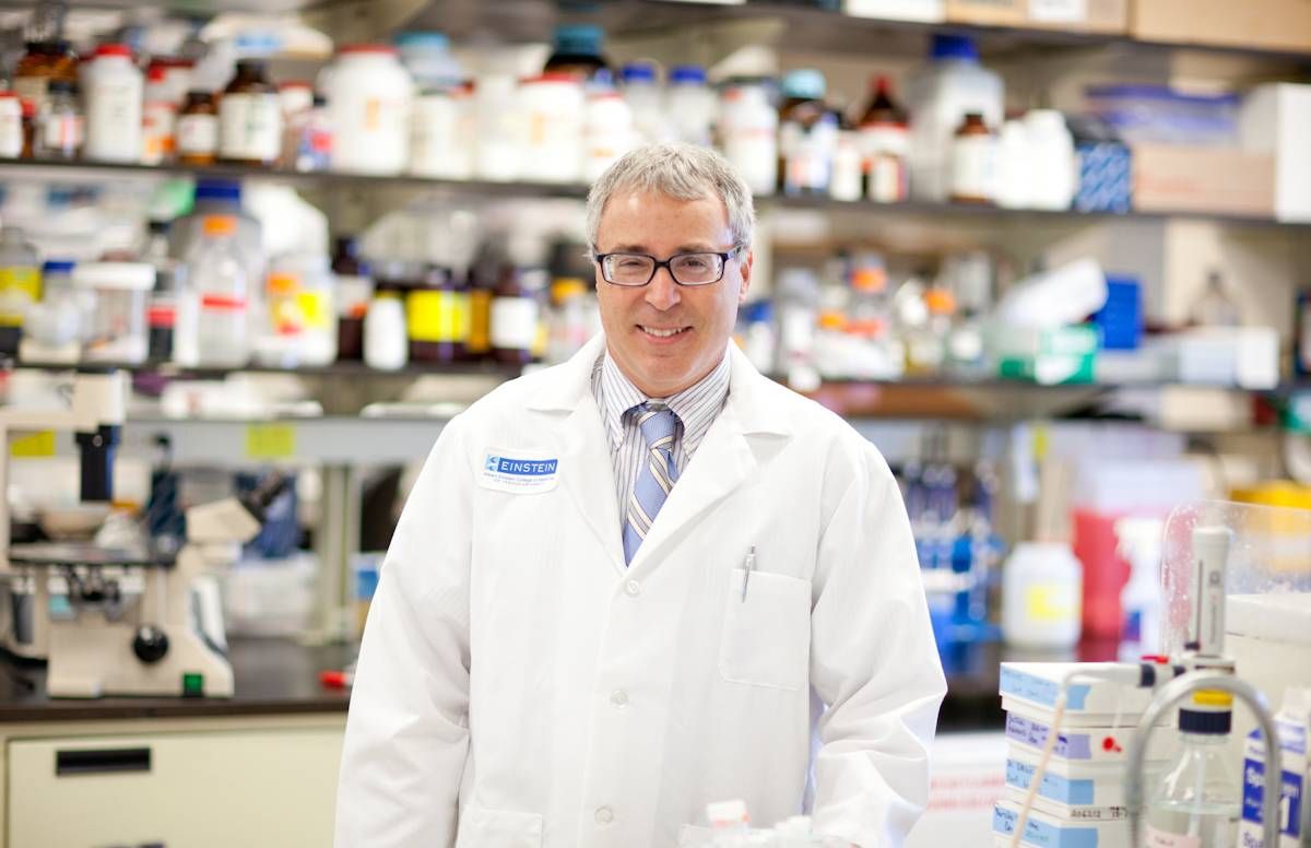 Dr. Nir Barzilai, Scientific Director for the American Federation for Aging Research, in his lab at the Albert Einstein College of Medicine, Bronx, NY