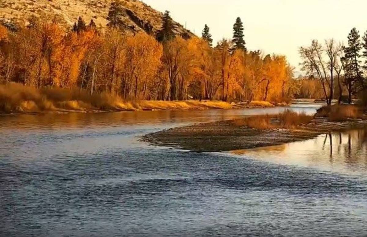 river view in fall