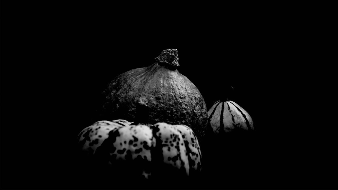 Thanksgiving spread black and white, Next Avenue