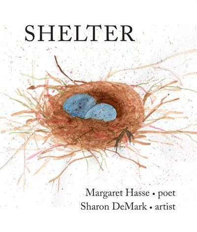 Shelter book, Next Avenue, pandemic project