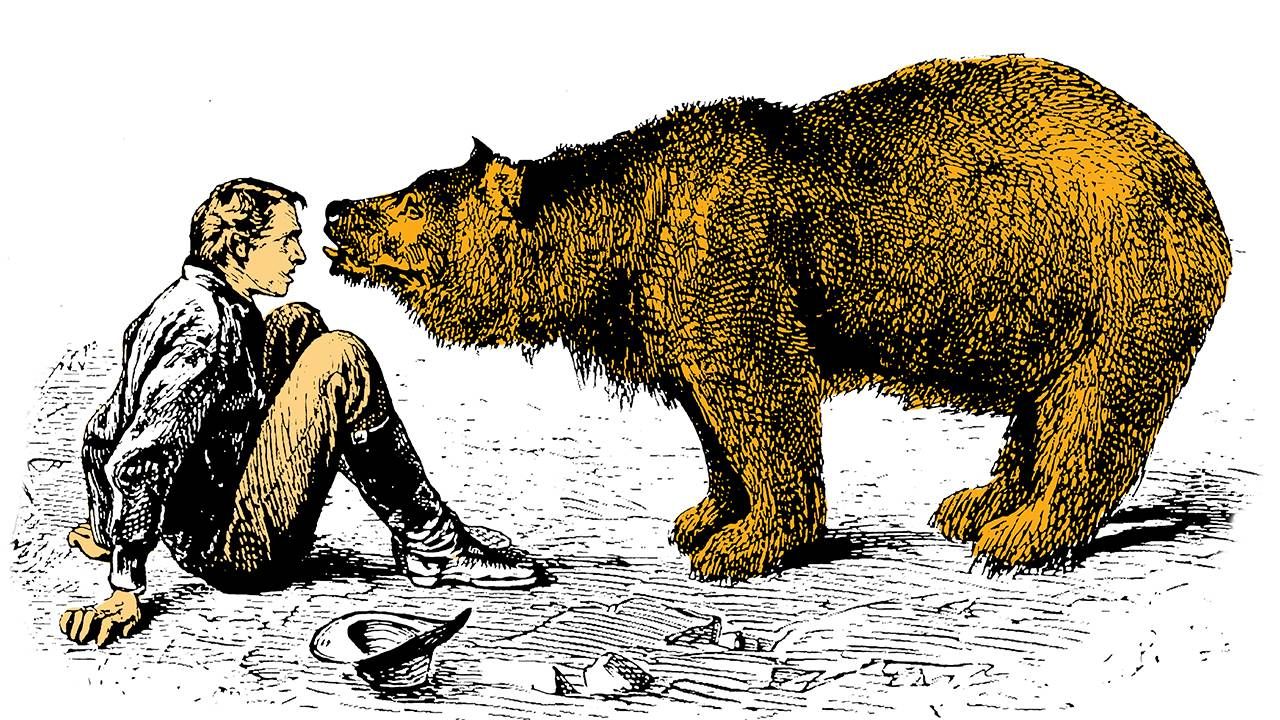 Illustration of a man sitting down in front of a bear, Next Avenue, couple