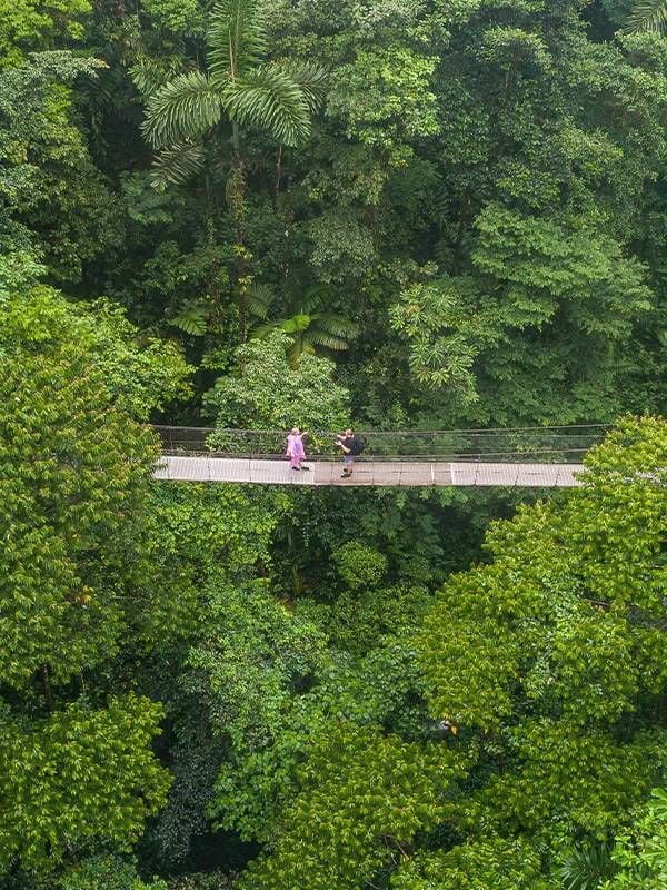 Hanging bridge over lush rainforest in Costa Rica, retire abroad