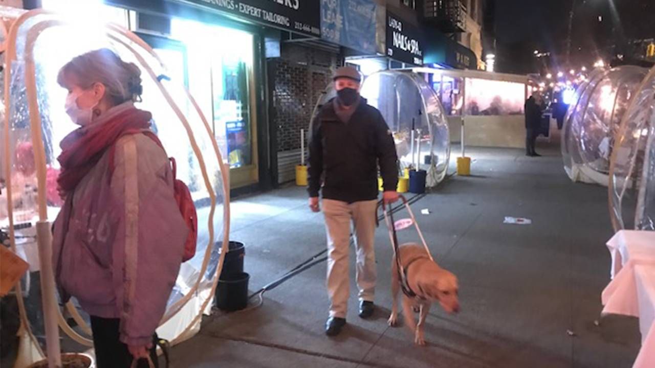 Blind man walking with his guide dog on a city sidewalk, blind, next avenue