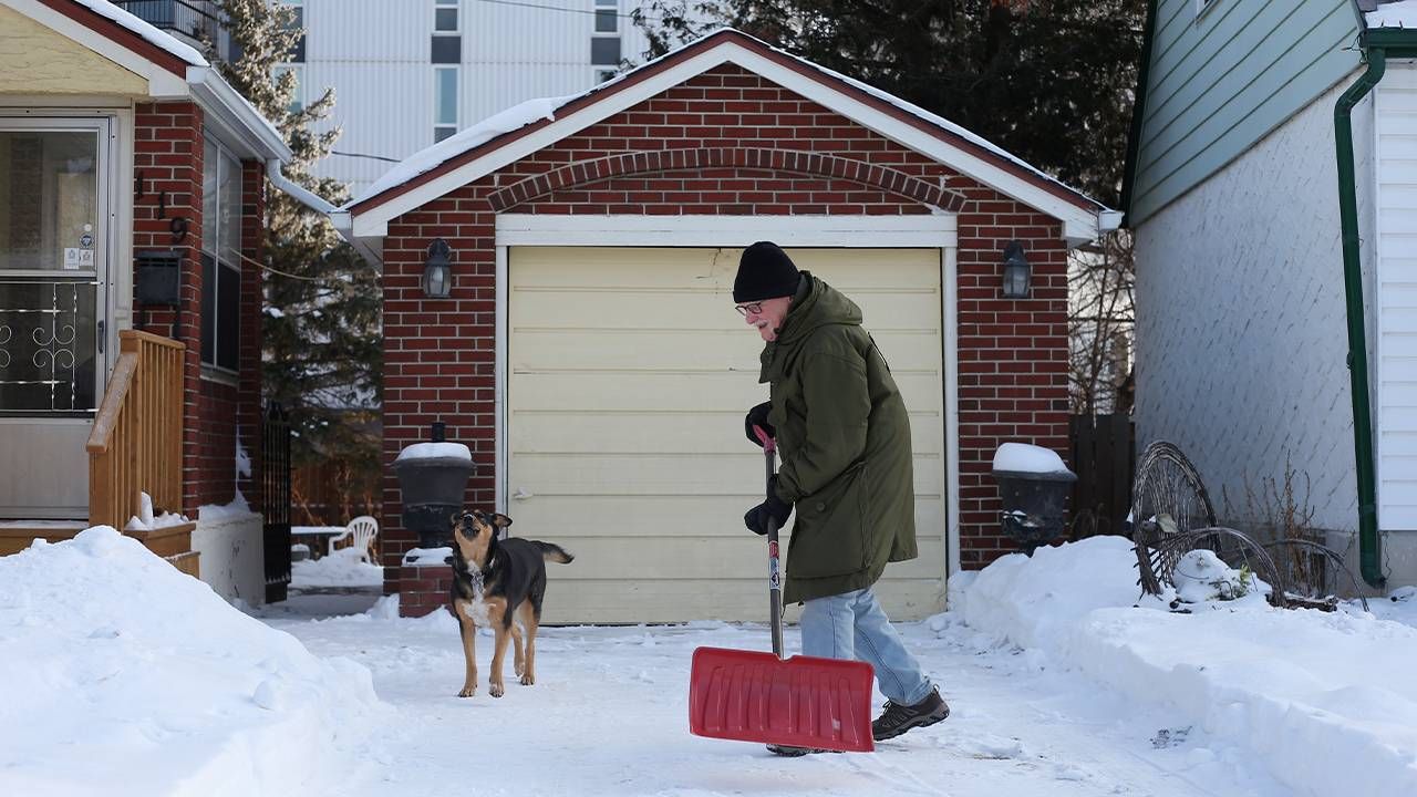 David Koulack shoveling snow with his dog, mild cognitive impairment, Next Avenue